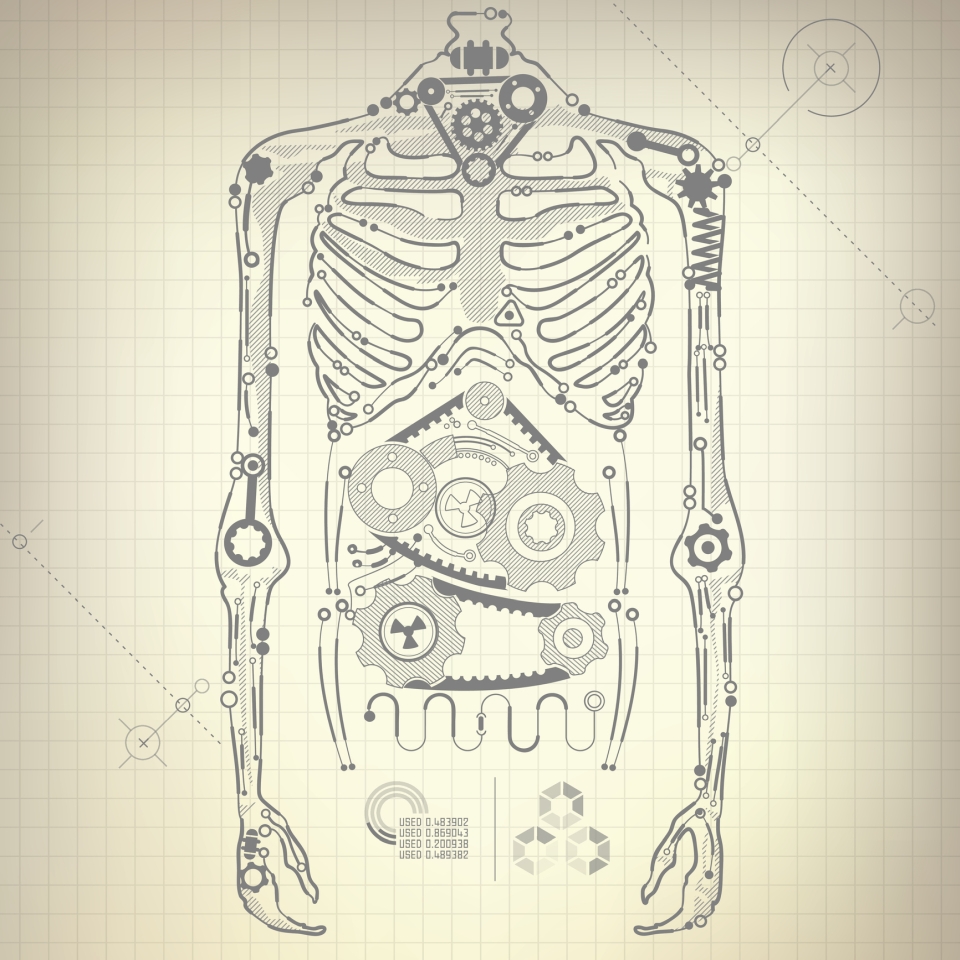 body diagram