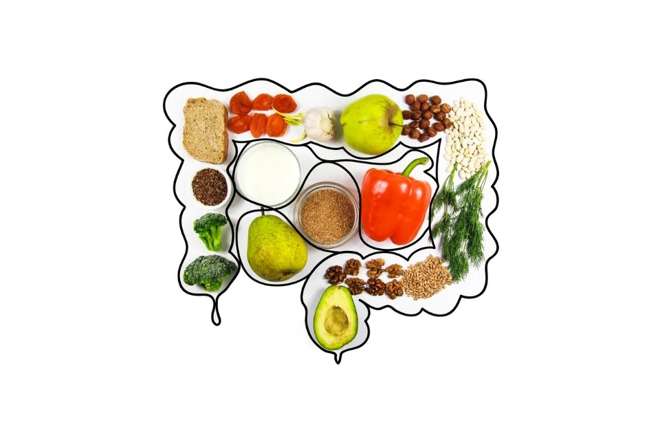 Good Food Gut