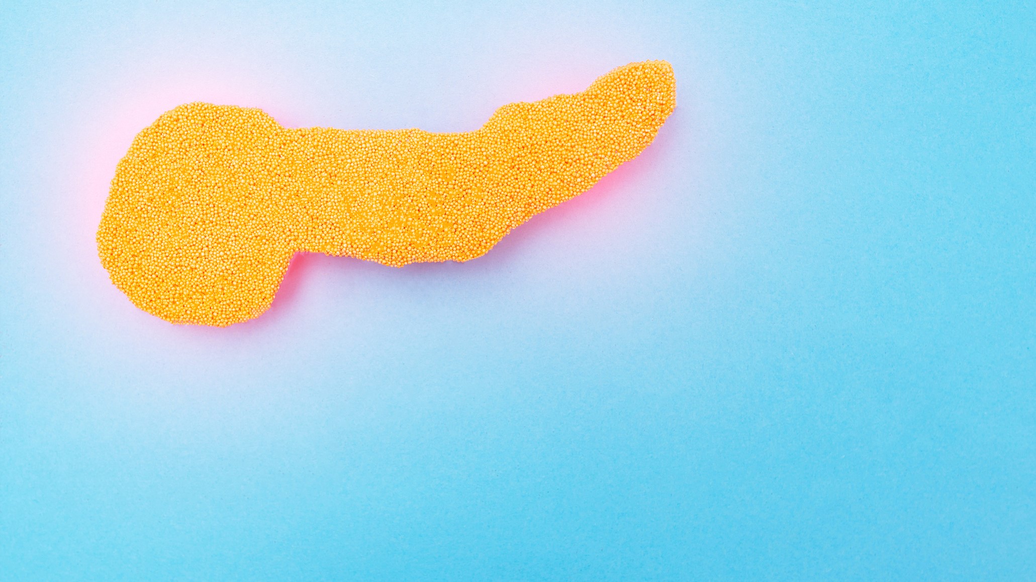 Pancreas on a blue background. Pancreatic disease concept, pancreatitis and digestive disorders. Pancreatic Surgery, copy space, inflammation