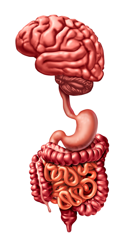 Incorporating psychogastroenterology into management of digestive disorders