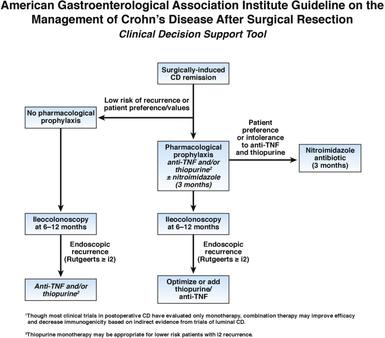 Management of Crohn’s disease after surgical resection American
