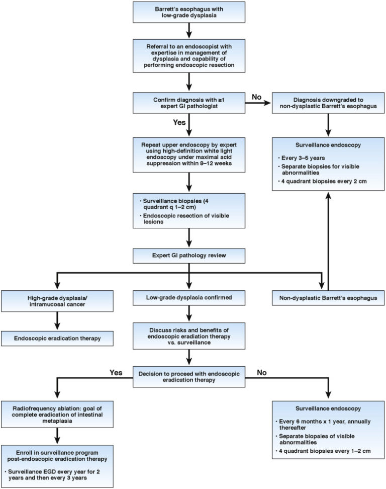 Diagnosis and management of low-grade dysplasia in Barrett's esophagus ...