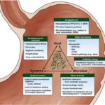 Management of refractory helicobacter pylori infection