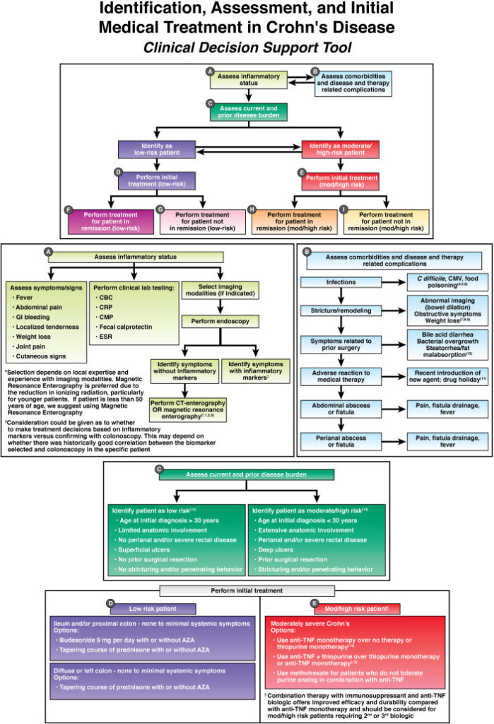 Crohn’s disease evaluation and treatment: clinical decision tool