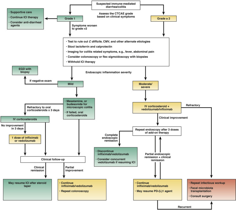 Diagnosis and management of immune checkpoint inhibitor colitis and ...