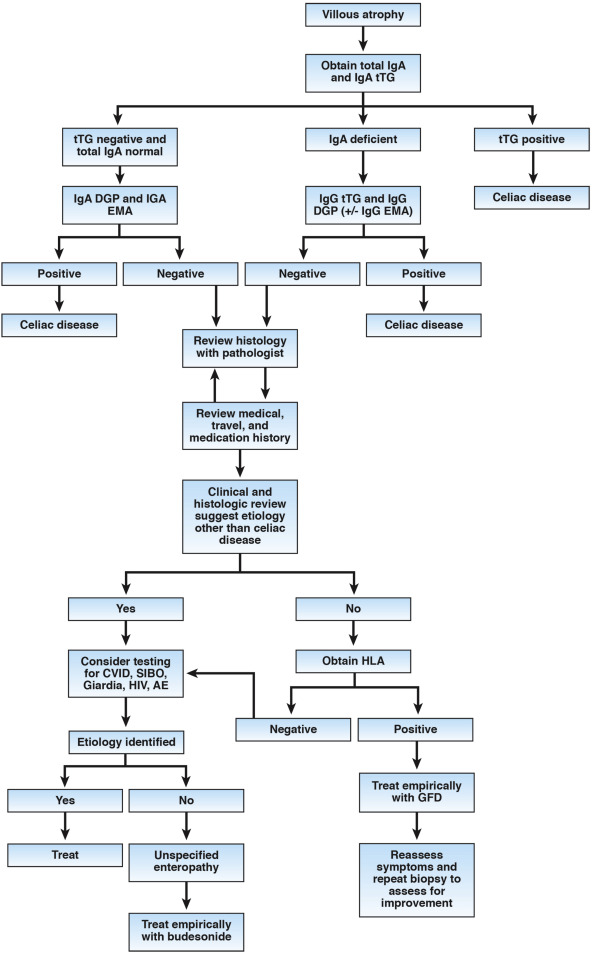 Evaluation and management of seronegative enteropathies