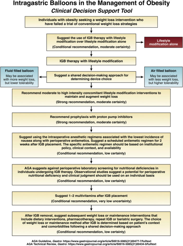 Intragastric Balloons In The Management Of Obesity - American 