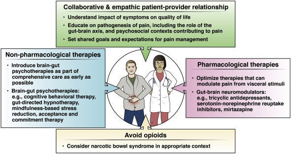 Management of chronic gastrointestinal pain in disorders of gut-brain interaction