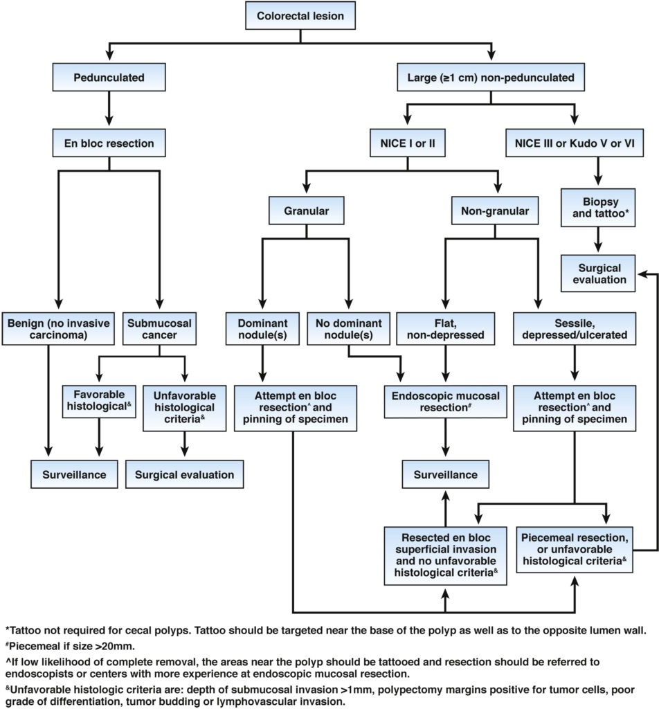 Colonoscopy surveillance after colorectal cancer resection