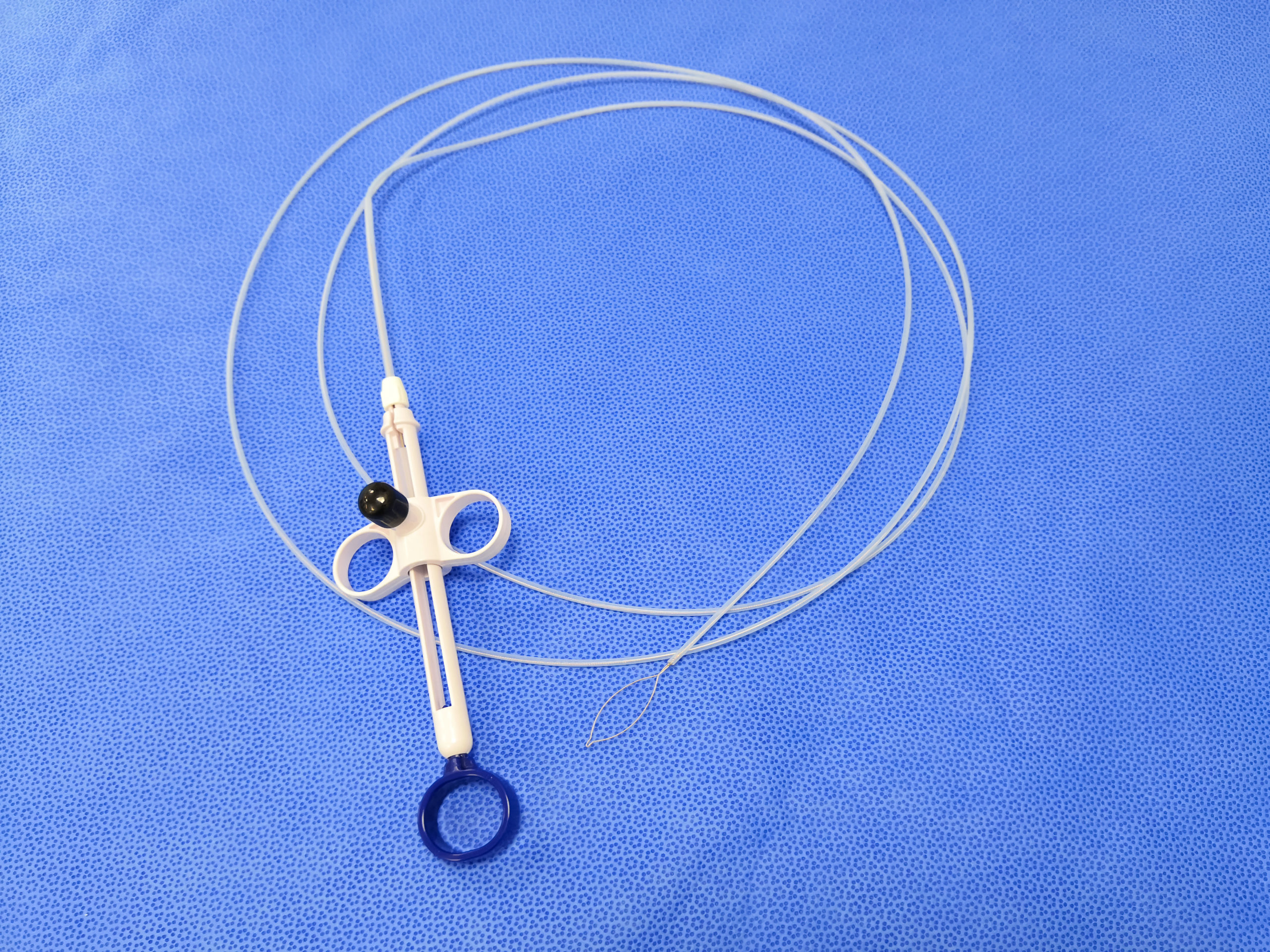 Endoscopic Instrument