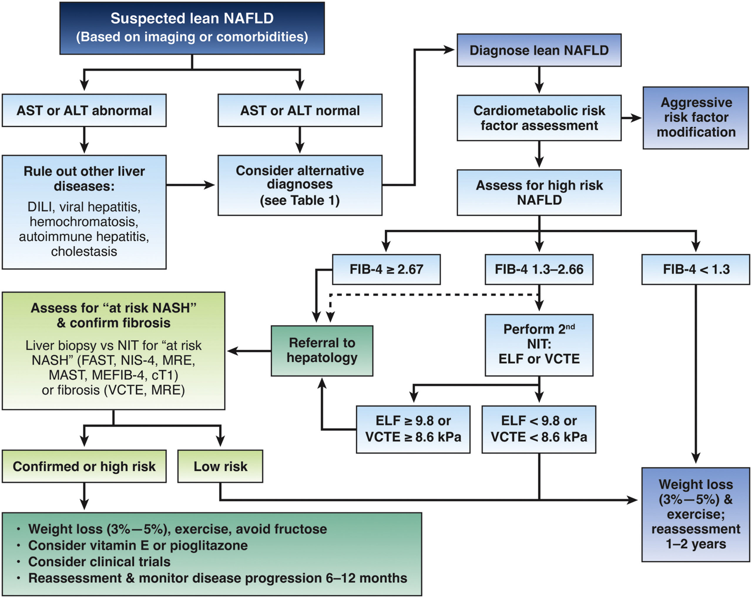 Management and treatment algorithm in patients with suspected lean NAFLD.