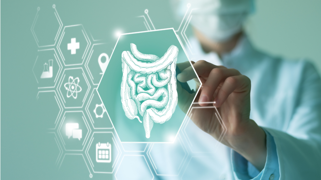 Person looking at digital organ image