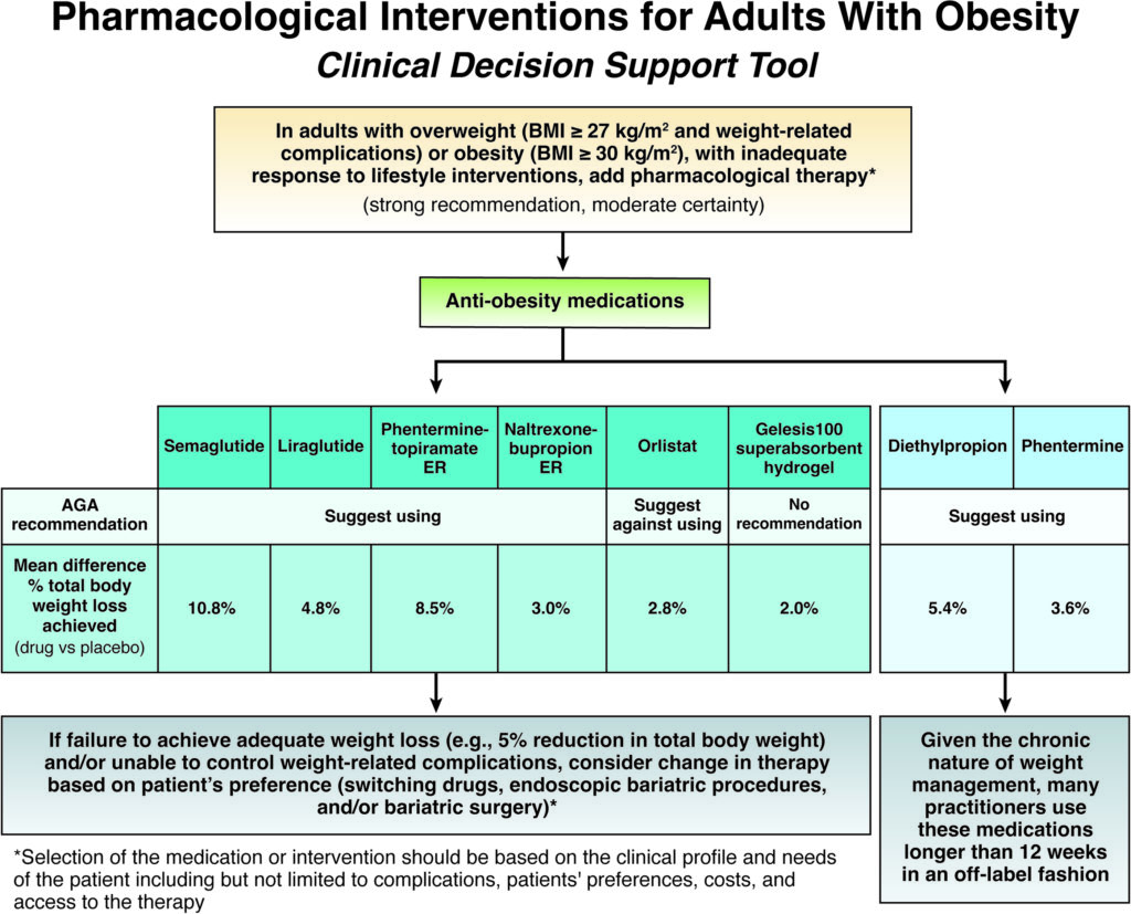 Obesity guideline clinical decision support tool