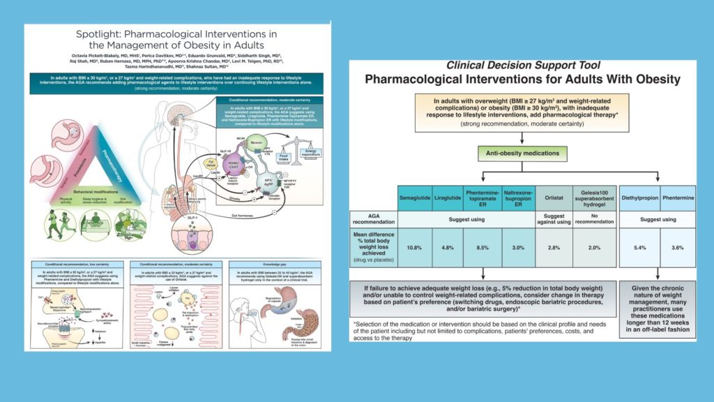AGA Obesity Guideline Spotlight and Decision Support Tool