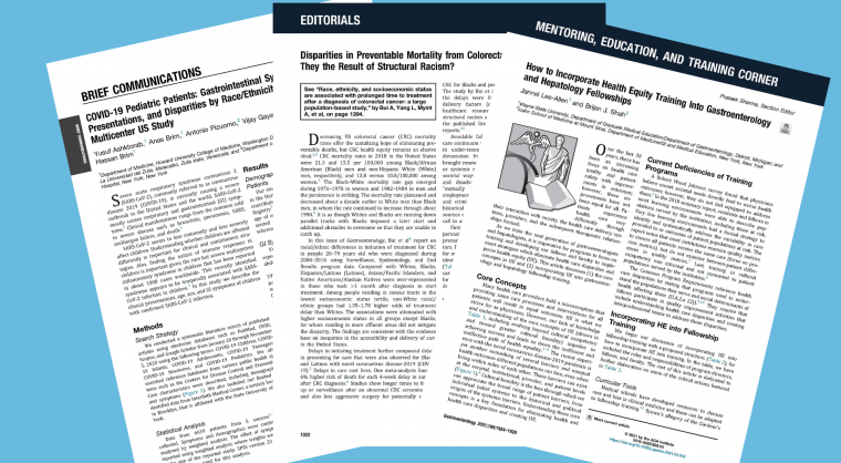 Equity-in-GI-Journal-Collection-2-phgiyia3twegjvaodn0u36y3rs9s6ue95ibxen94k4