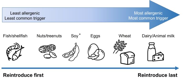 Graphic from EoE dietary therapy resource
