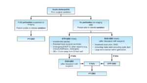 Approach to acute cholecystitis in high surgical risk patients algorithm.