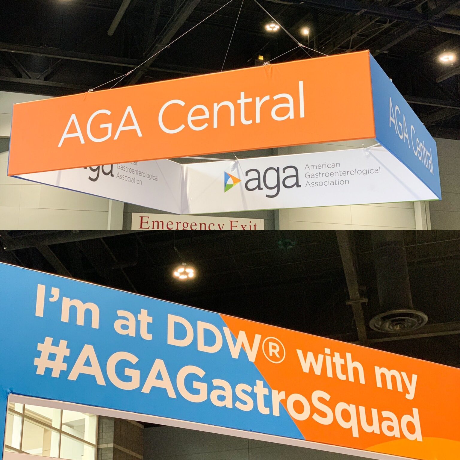 DDW American Gastroenterological Association