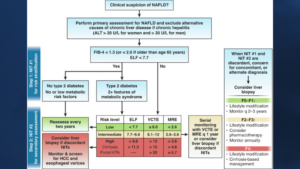 AGA Clinical Practice Update on MASLD