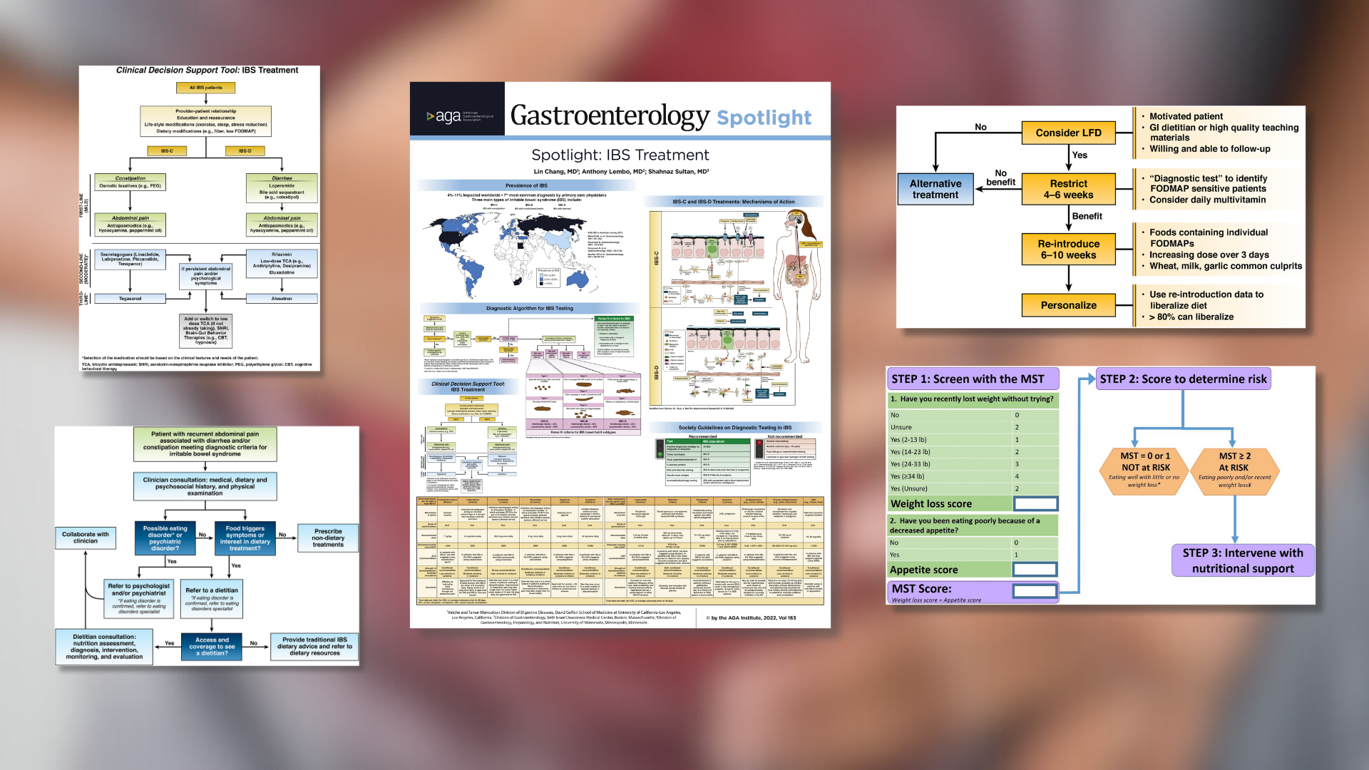 IBS Clinical Guidance Roundup - American Gastroenterological Association