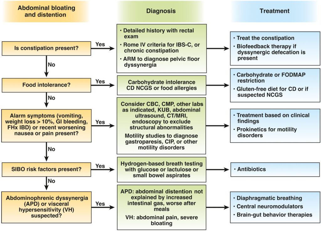 Figure 5. Diagnostic and treatment algorithm for abdominal bloating and distention. 