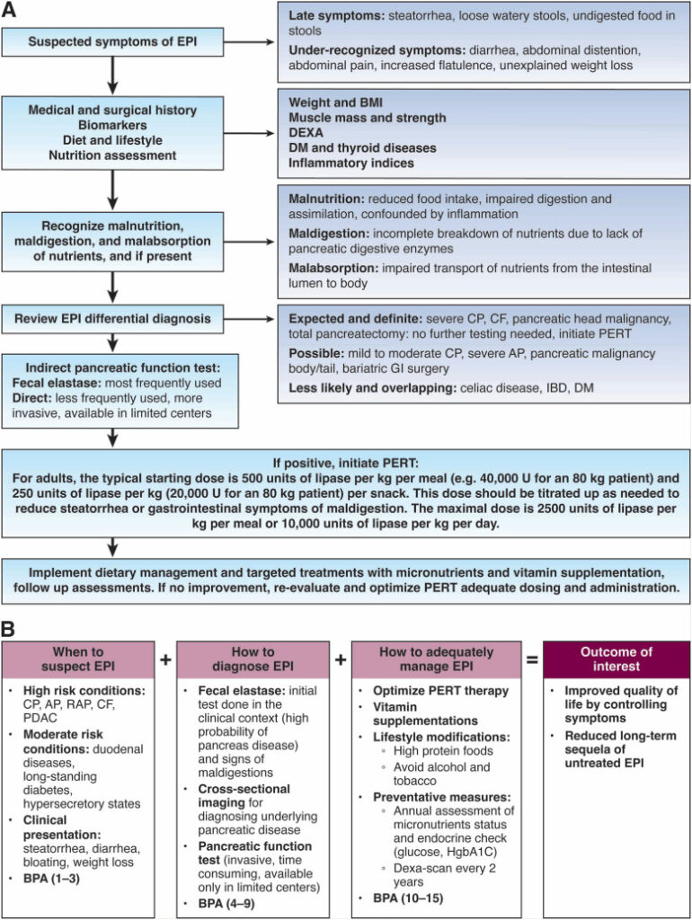 Treatment of exocrine pancreatic insufficiency (EPI)