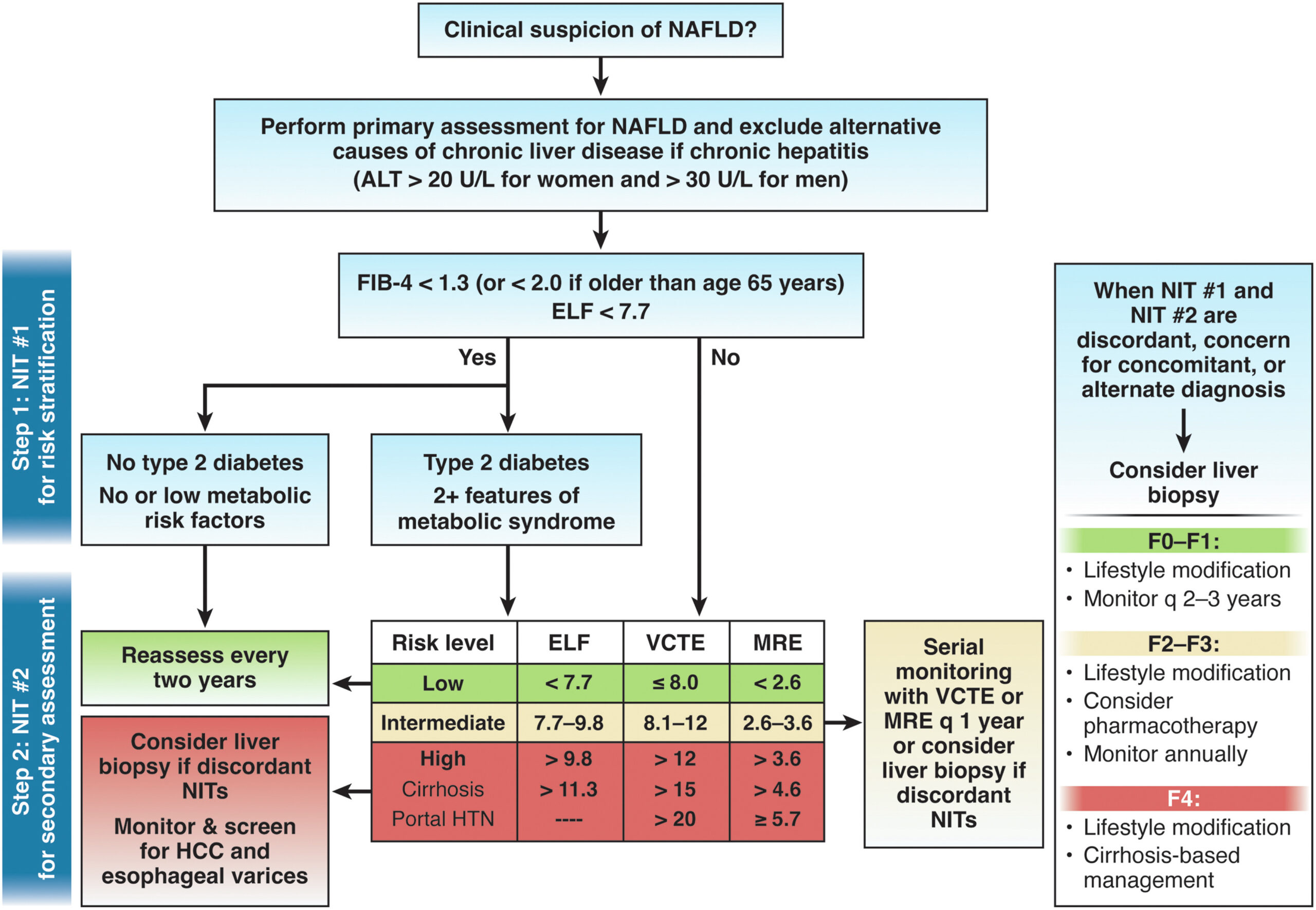 Role of noninvasive biomarkers in NAFLD/MASLD - American ...