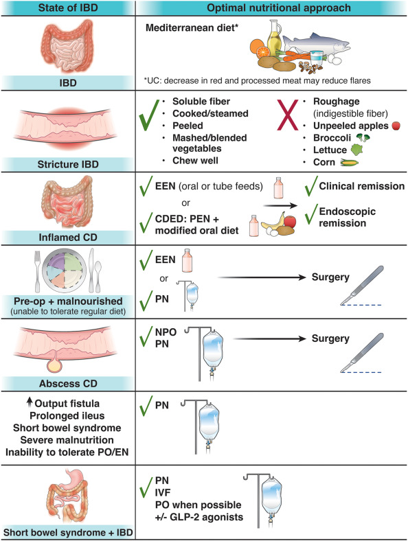 Diet and Nutrition for IBD Figure 1