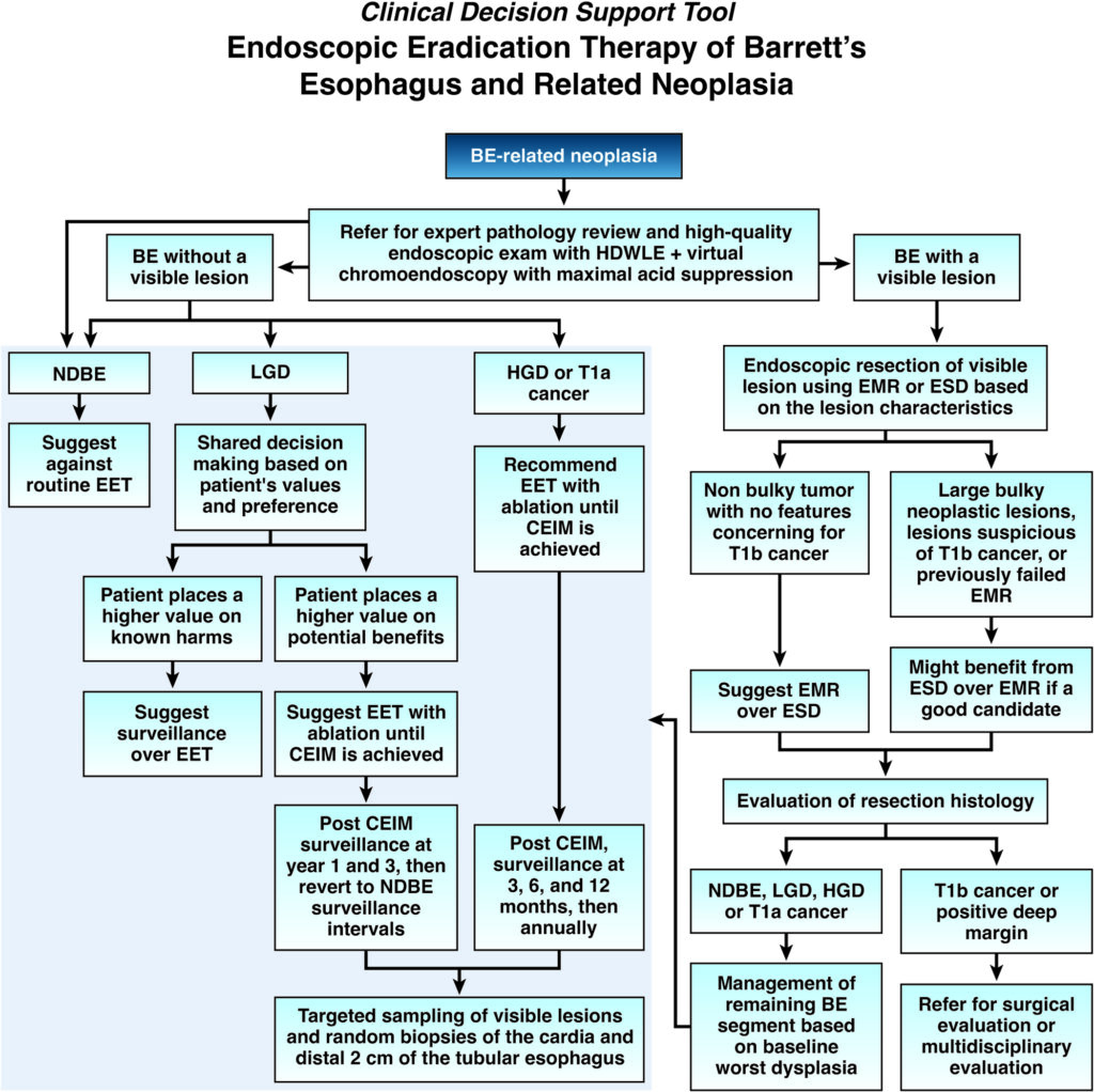 AGA guideline Barrett's esophagus clinical decision support tool