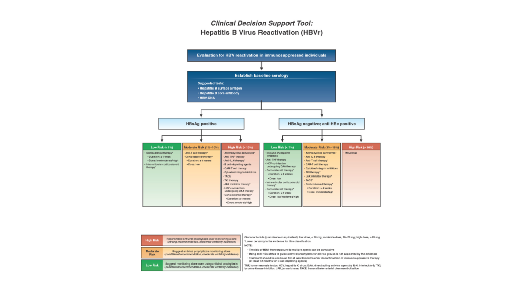 HBVr support tool
