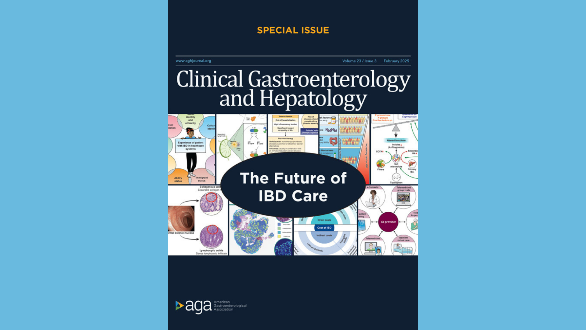 CGH IBD special issue