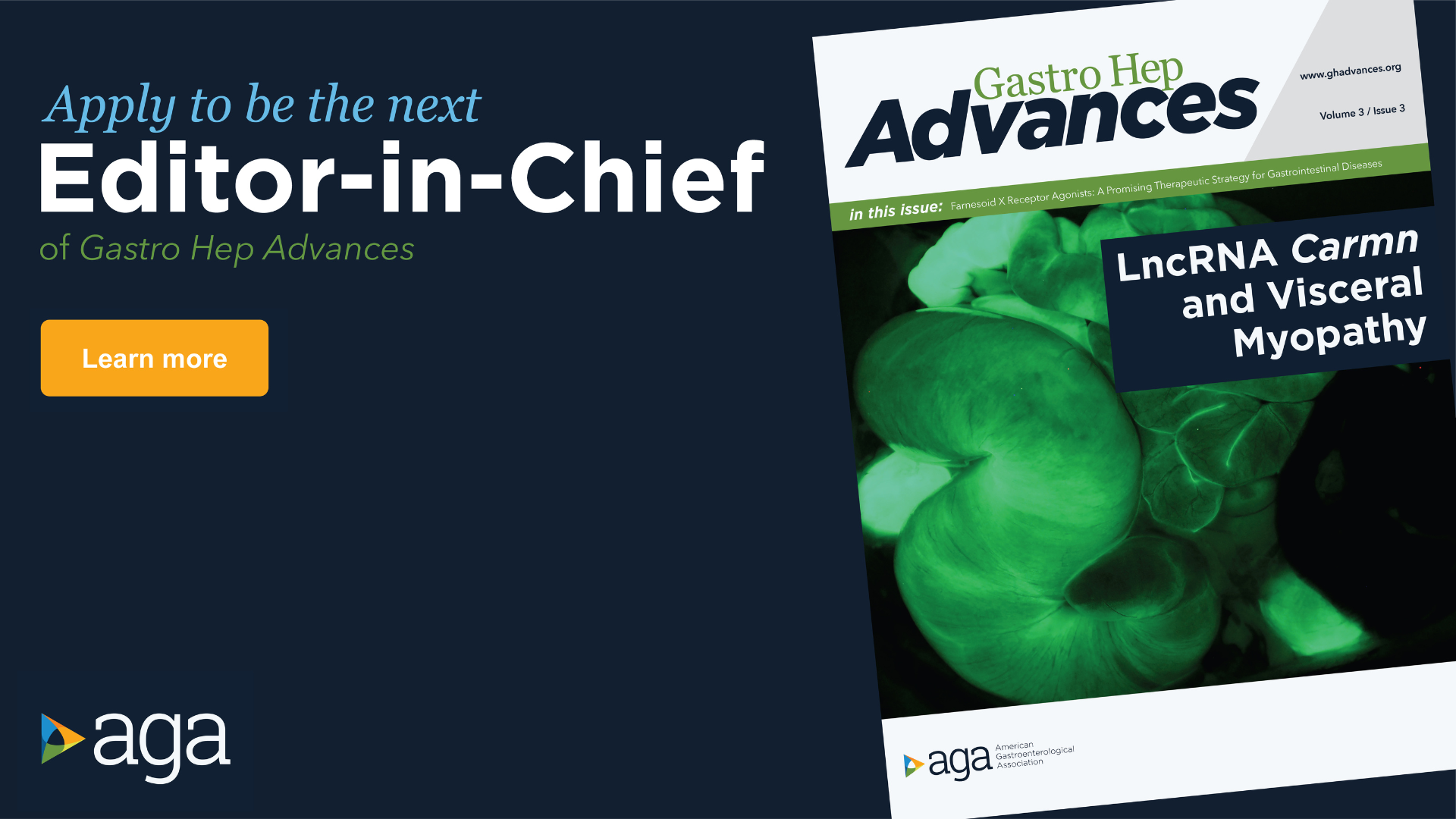 Call for applications for GHA editor-in-chief