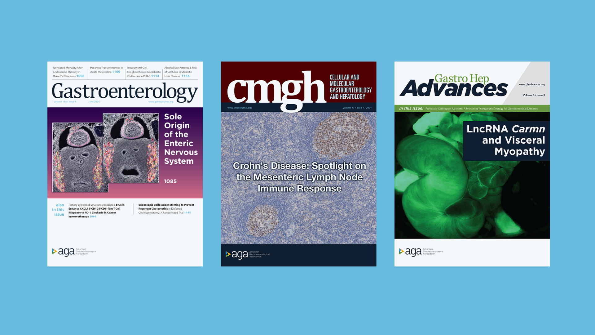 Journal high impact promotions for basic research
