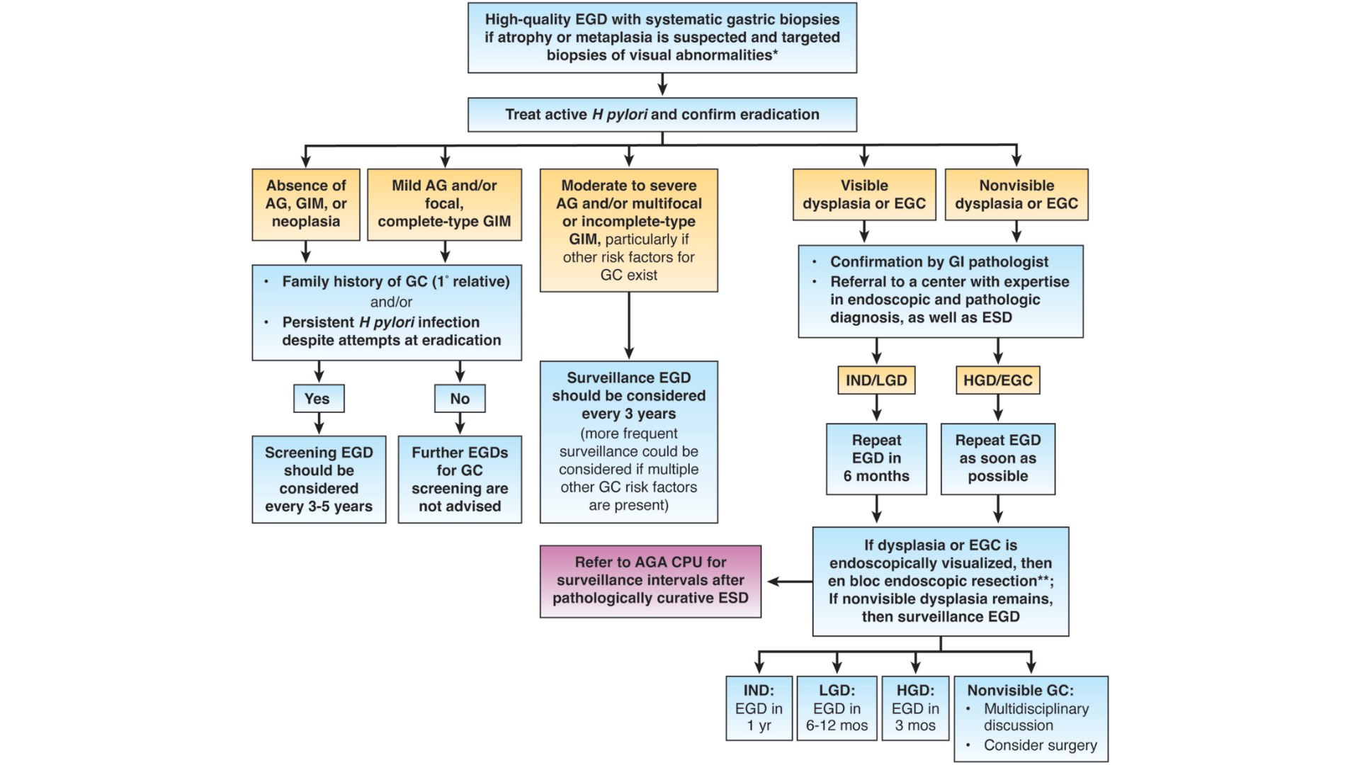 Gastric Cancer