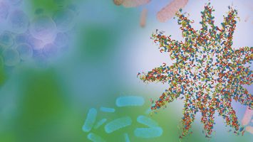 ACHL_Microbiota_CDI_650_300 ACHL_Microbiota_CDI_650_300