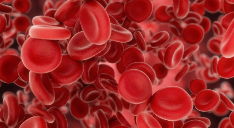 3d render Blood cells flowing through arteries or veins 4k