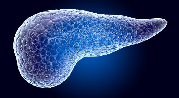 Pancreas, x-ray hologram. 3D rendering on dark blue background