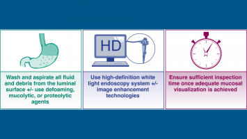 High Quality Endoscopy Banner Image