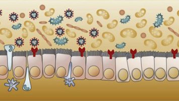 MicrobiomeCOVID_873x349 MicrobiomeCOVID_873x349