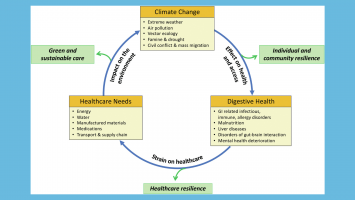 Chart of strategic plan for environmental impact reduction
