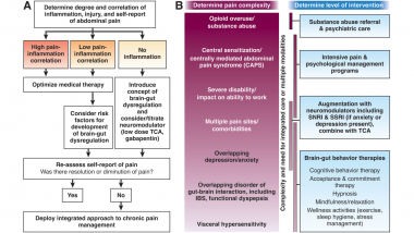 Pain Management in IBD Banner Image