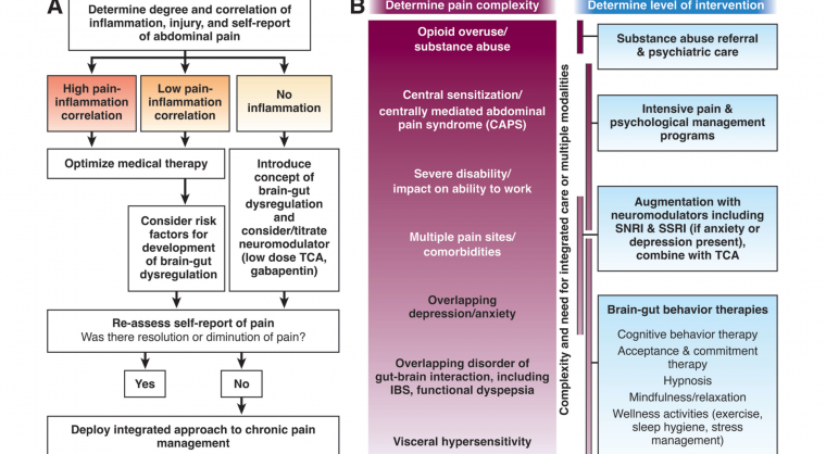 Pain Management in IBD Banner Image