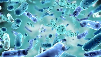Bifidobacterium, bacterial strain3d illustration. Bifidobacterium, bacterial strain3d illustration.